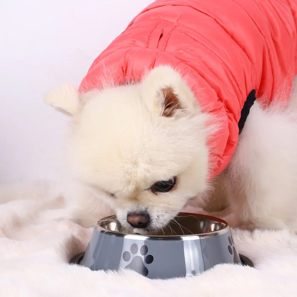 Large Stainless Steel Pet Bowl