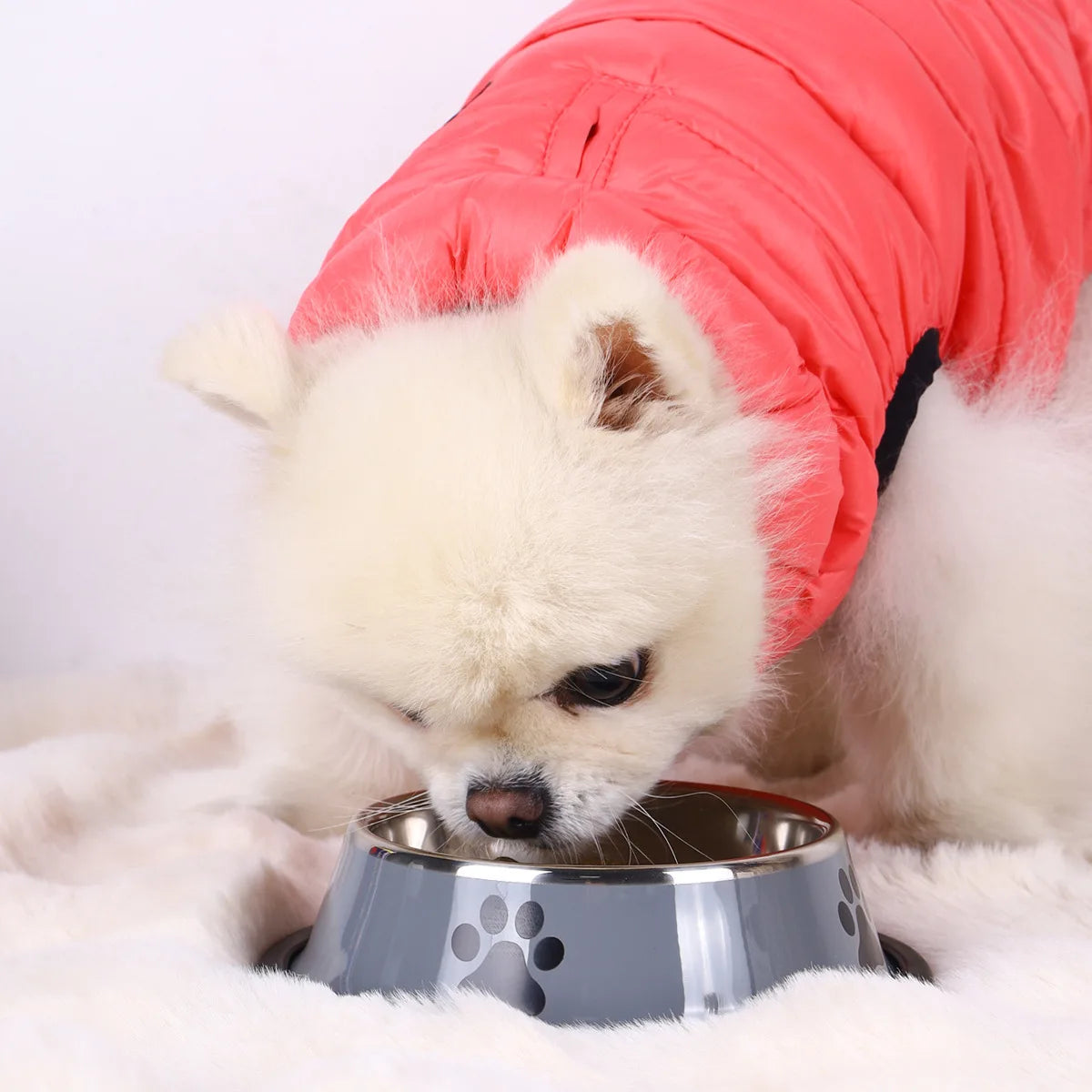 Large Stainless Steel Pet Bowl