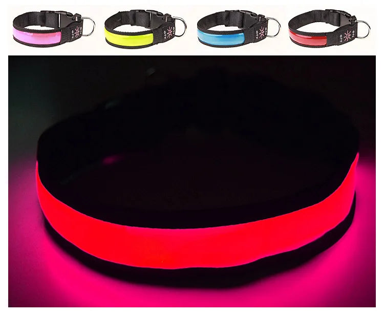 LED Dog Collar