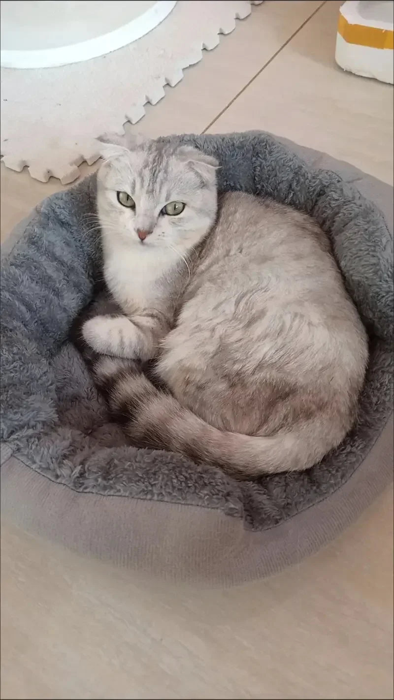 Soft Pet Sofa Bed