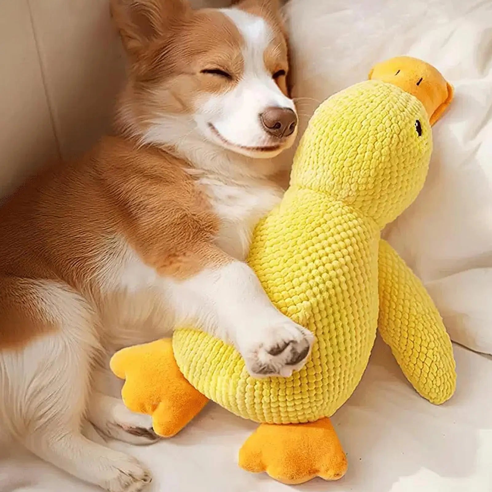 Yellow Duck Dog Toy