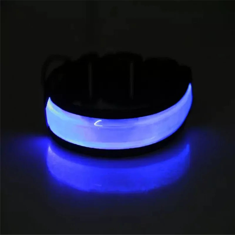 LED Dog Collar