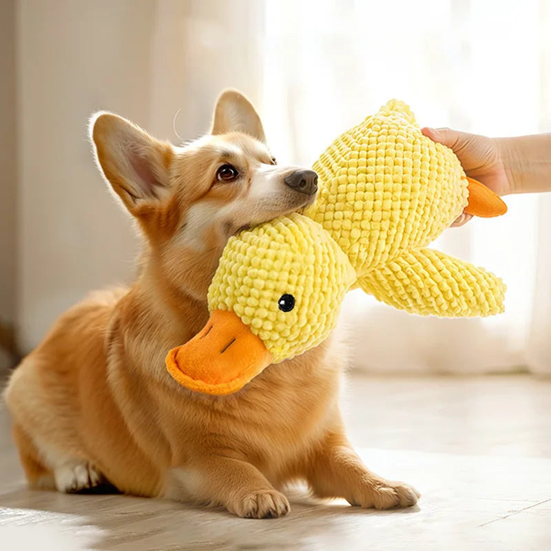Durable Squeaky Pet Toy