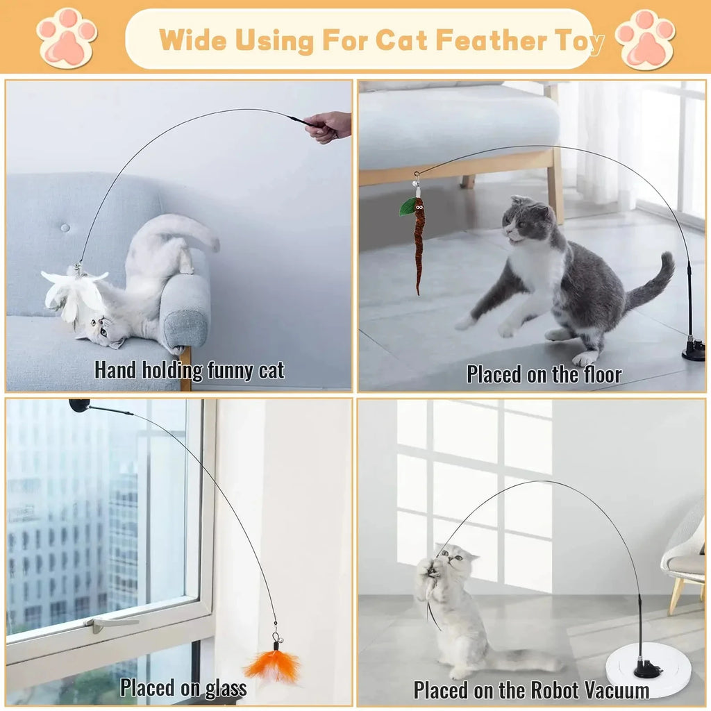 Feather Bird Cat Teaser