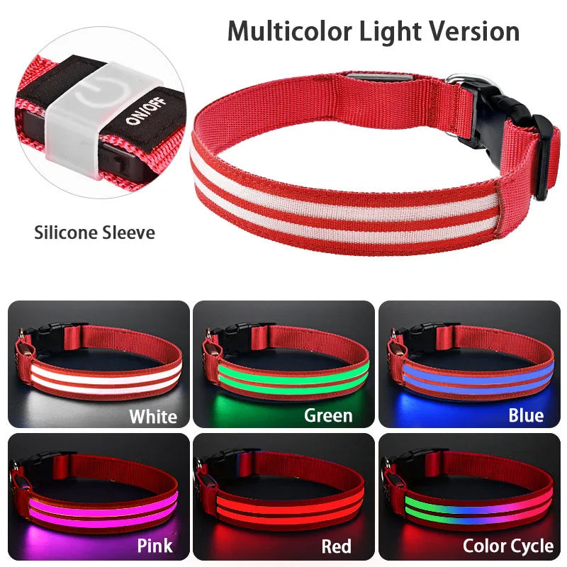Rechargeable LED Dog Collar