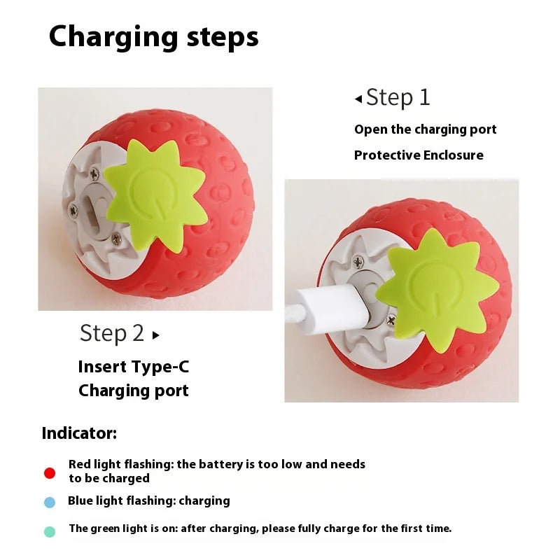 Automatic Interactive Cat Ball