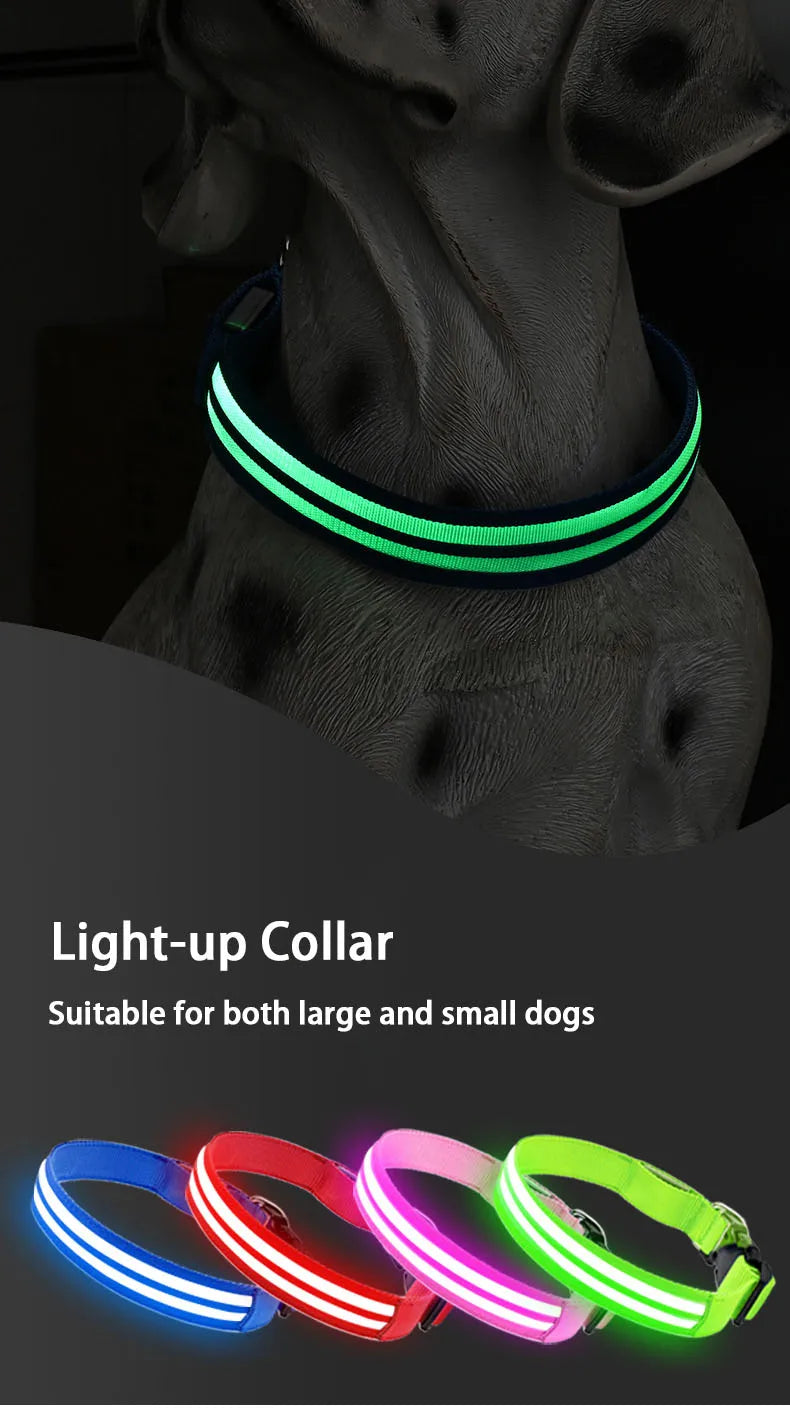 Rechargeable LED Dog Collar