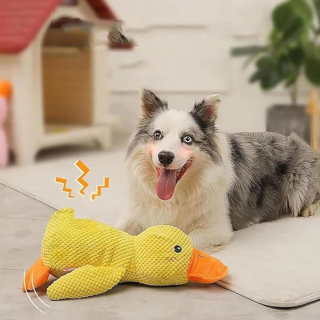 Yellow Duck Dog Toy