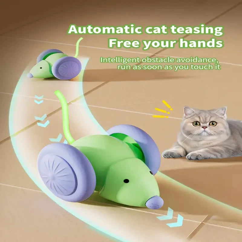 Automatic Interactive Cat Ball