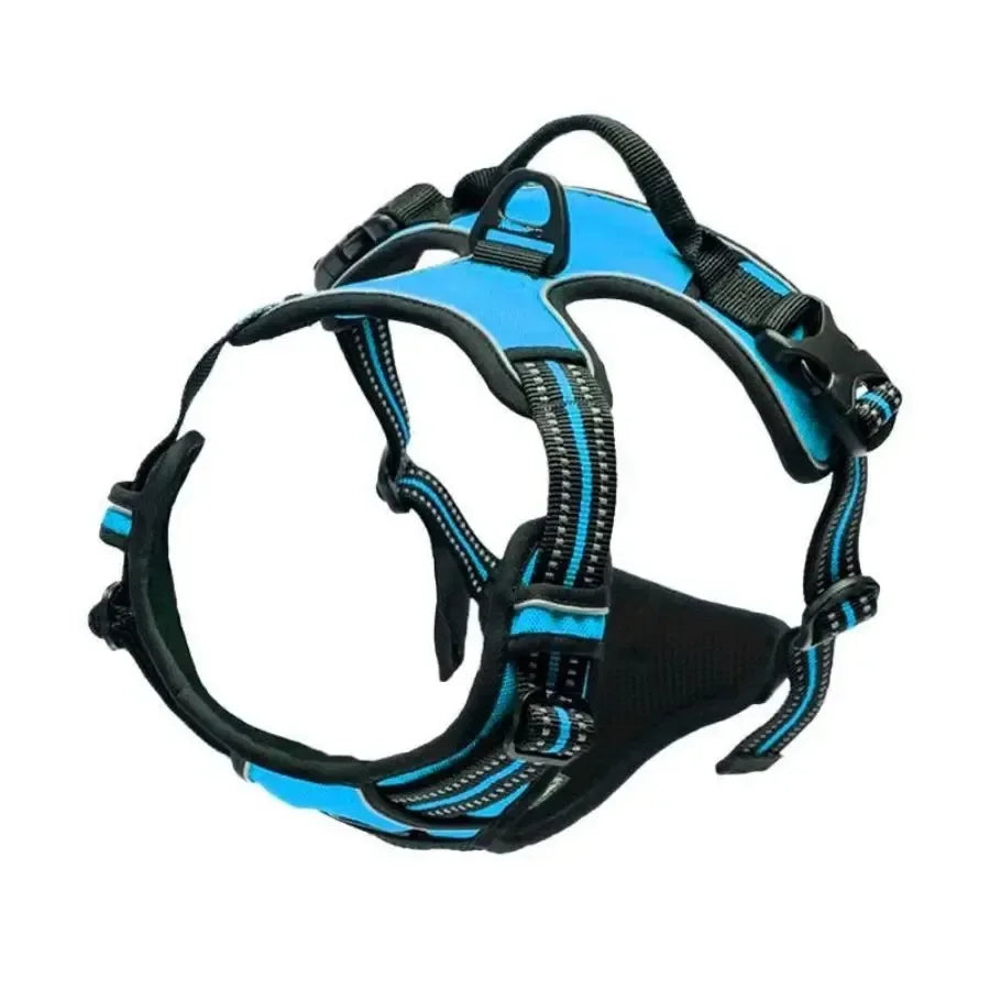 Dog Harness & Collar Set