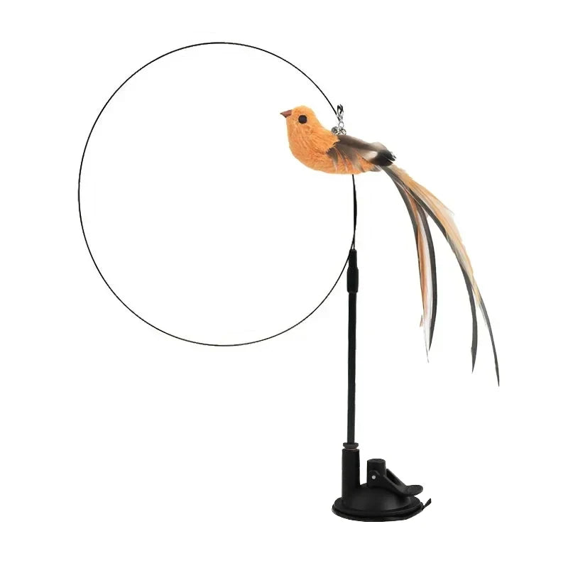 Feather Bird Cat Teaser