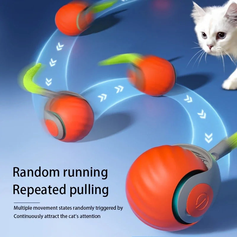 Automatic Interactive Cat Ball