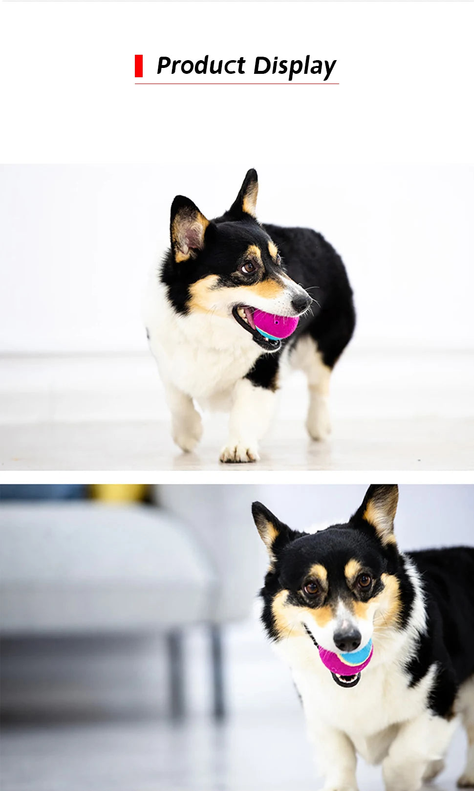 Squeaky Dog Tennis Ball