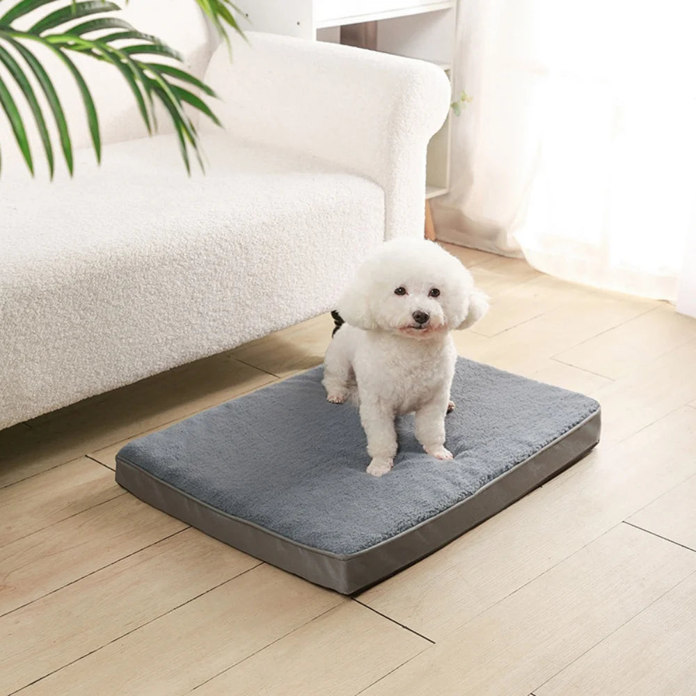 Dog Bed