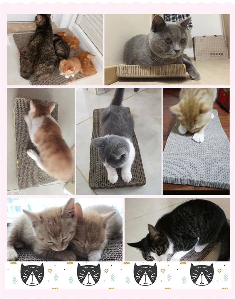 Cardboard Cat Scratcher