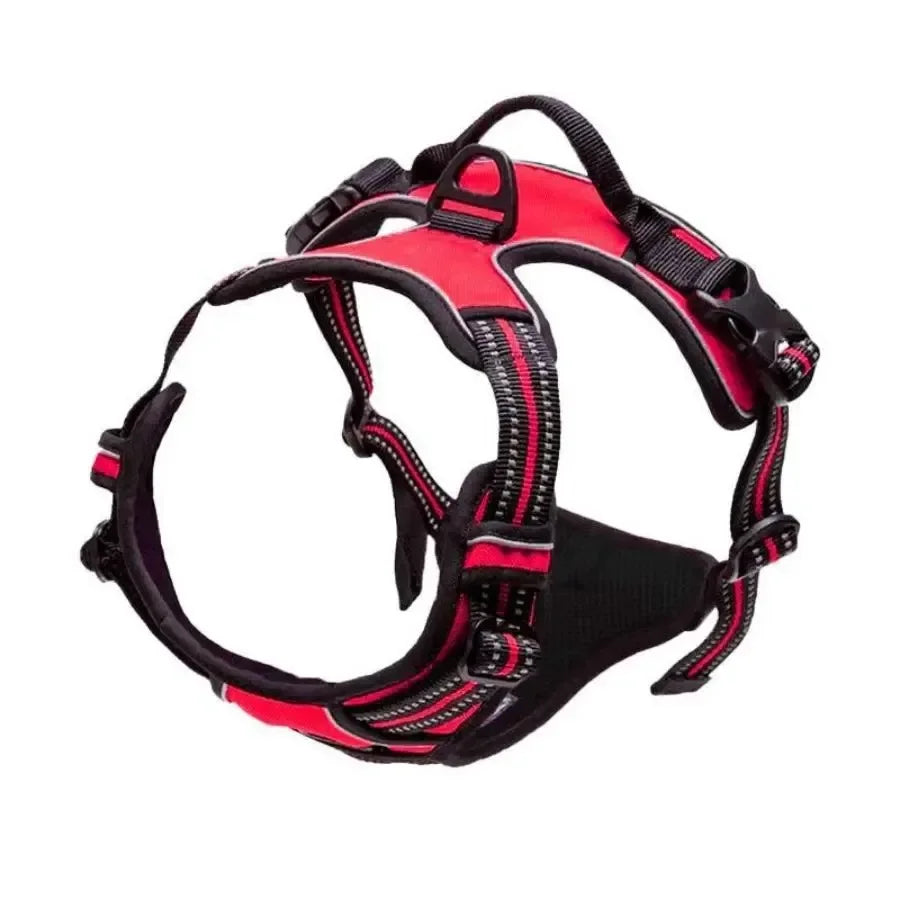 Dog Harness & Collar Set