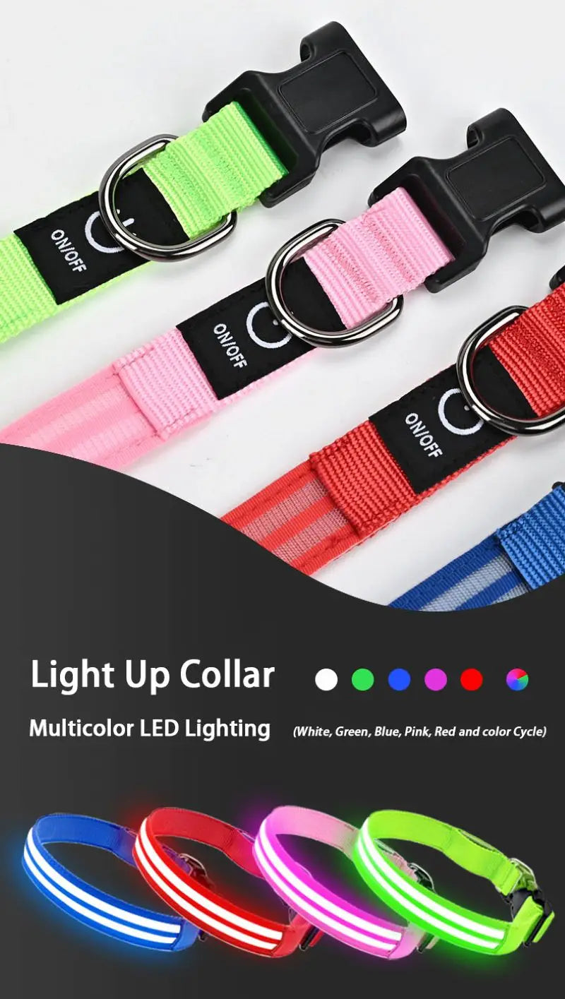 Rechargeable LED Dog Collar