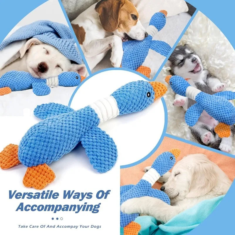 Durable Squeaky Pet Toy