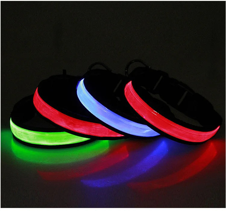 LED Dog Collar