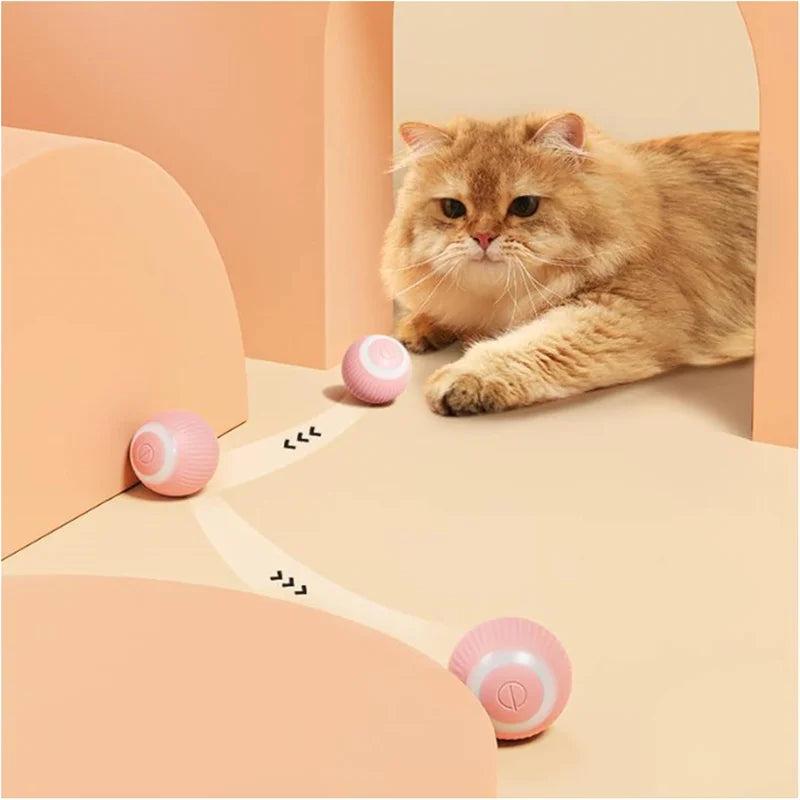 Automatic Interactive Cat Ball