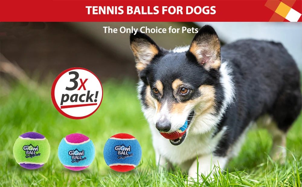 Squeaky Dog Tennis Ball