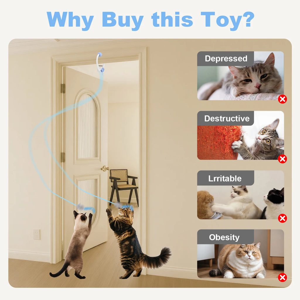 Cat Toys Electric Door Hanging
