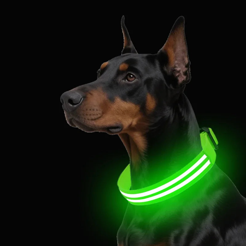 Rechargeable LED Dog Collar