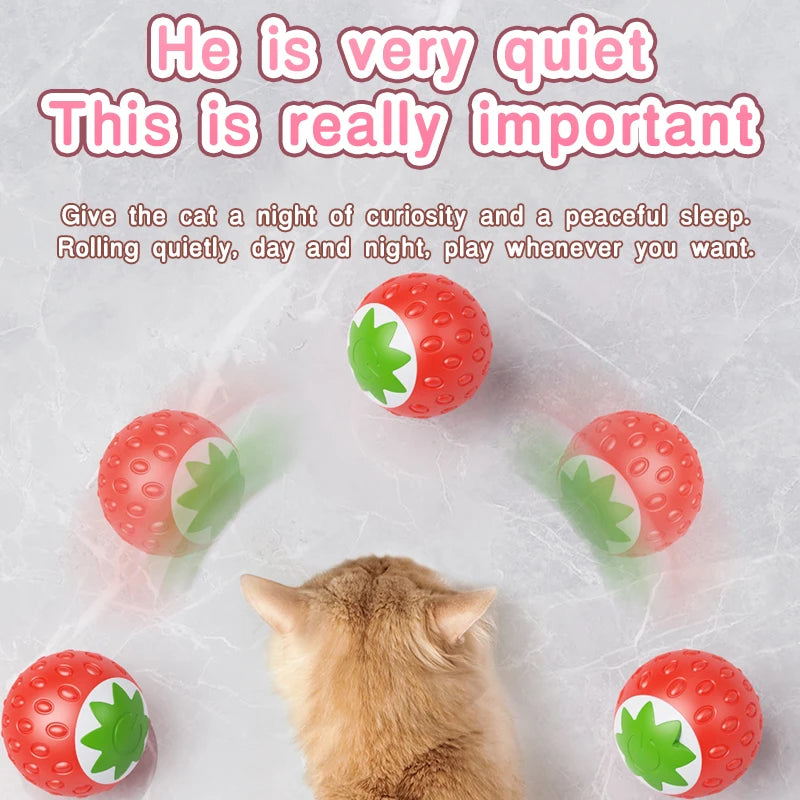 Automatic Interactive Cat Ball