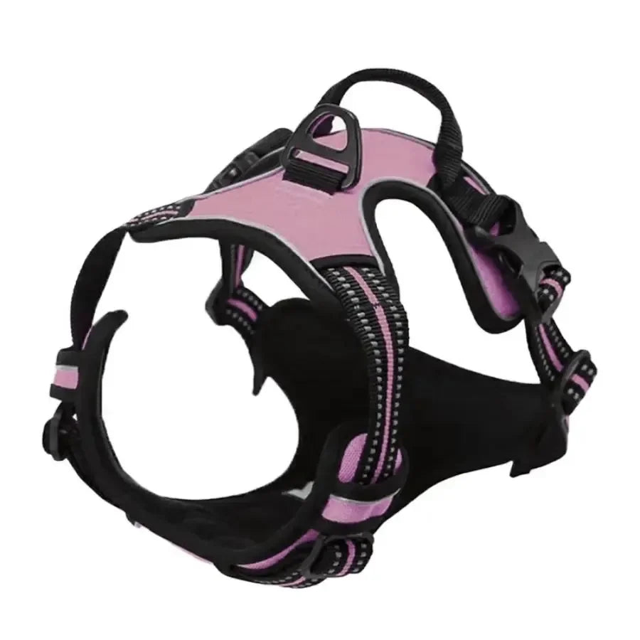 Dog Harness & Collar Set