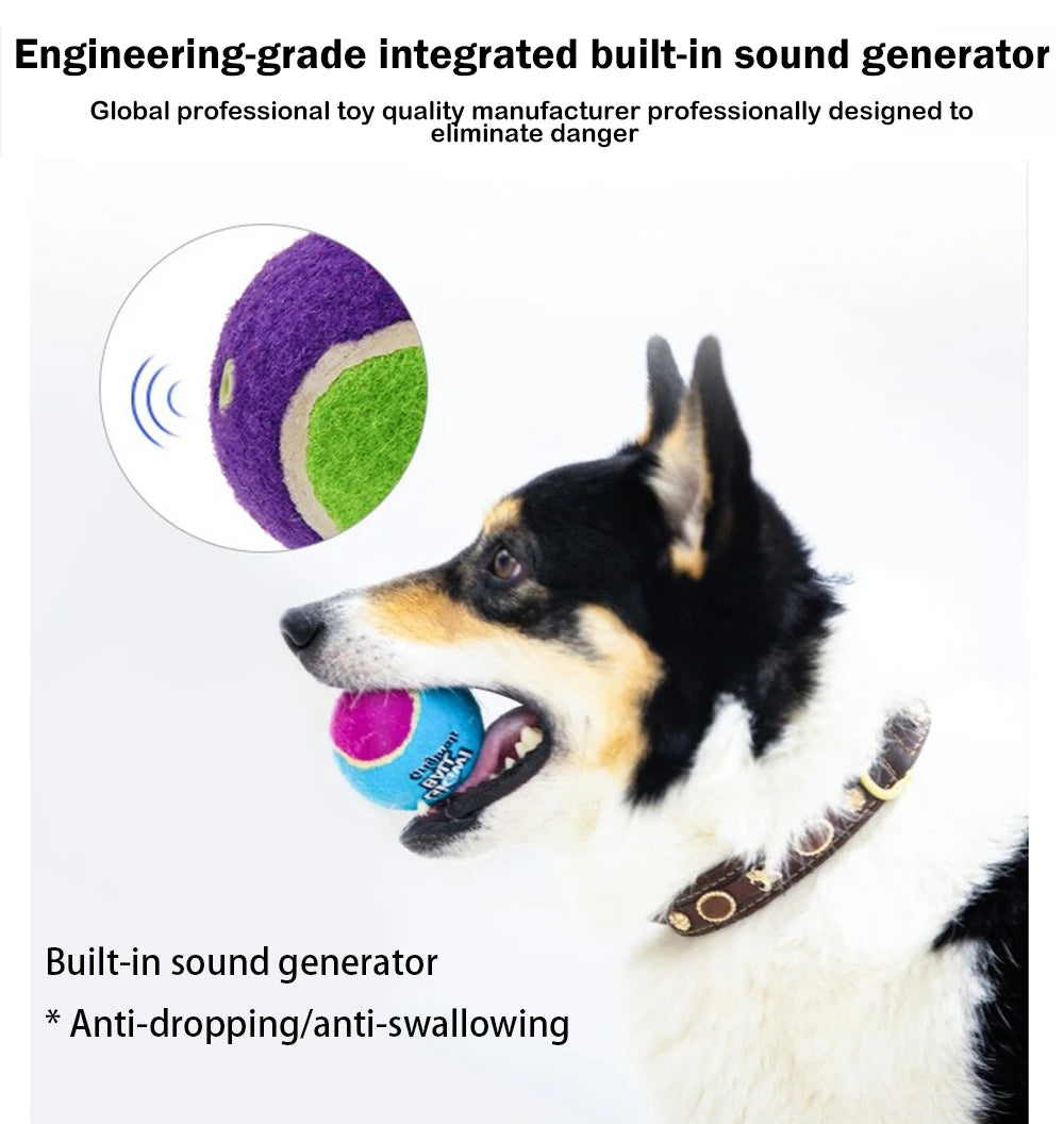 Squeaky Dog Tennis Ball