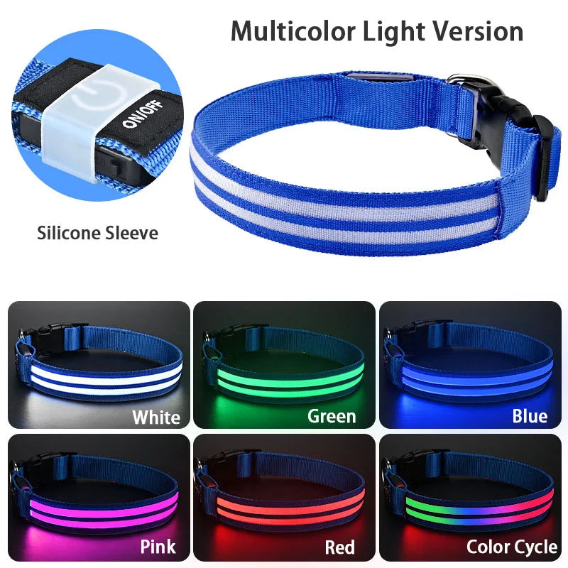 Rechargeable LED Dog Collar