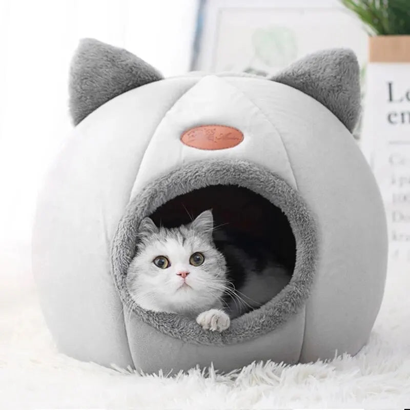 Cat Head Cozy Cat House