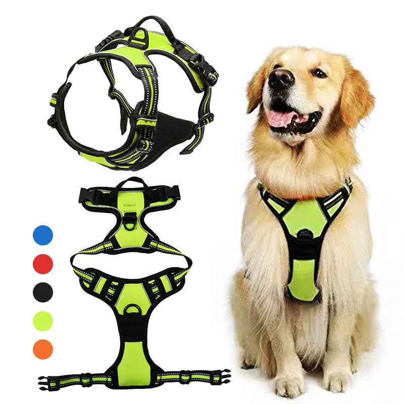 Dog Harness & Collar Set