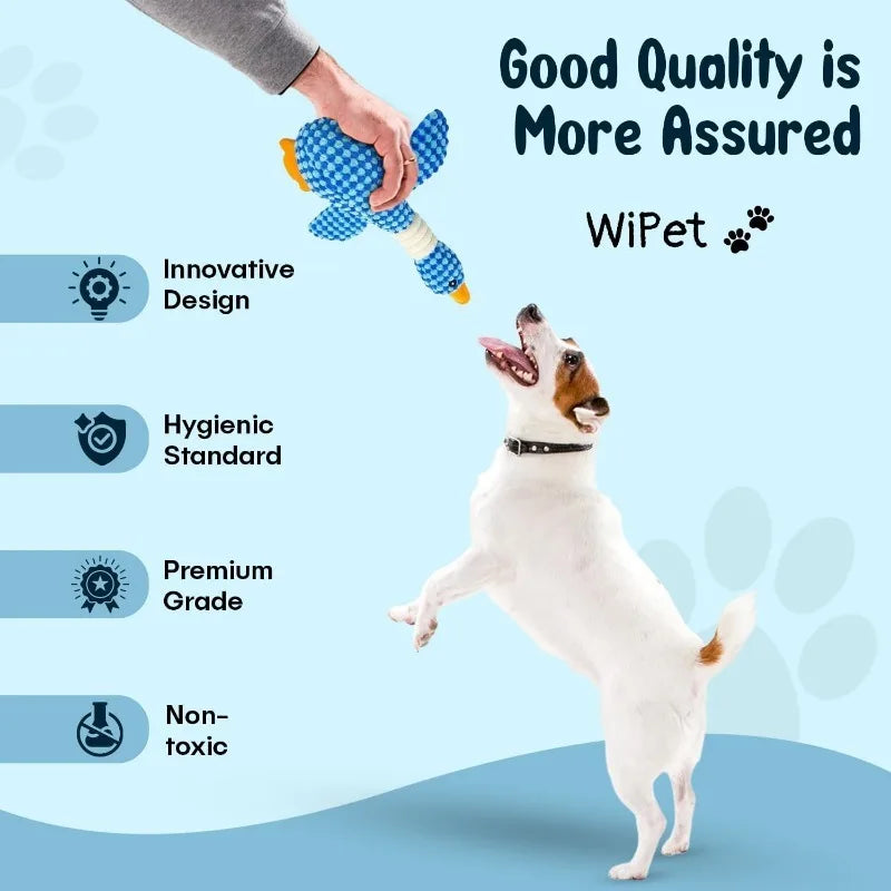 Durable Squeaky Pet Toy