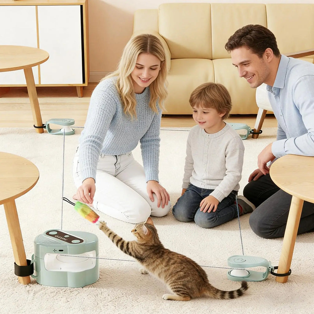 Interactive Cat Toys