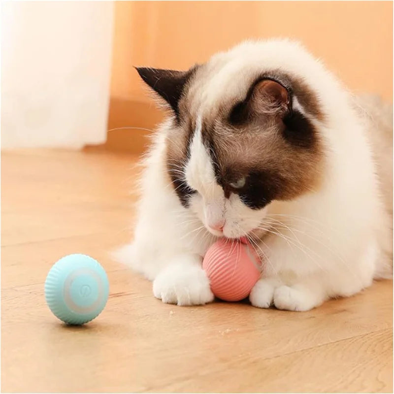 Automatic Interactive Cat Ball