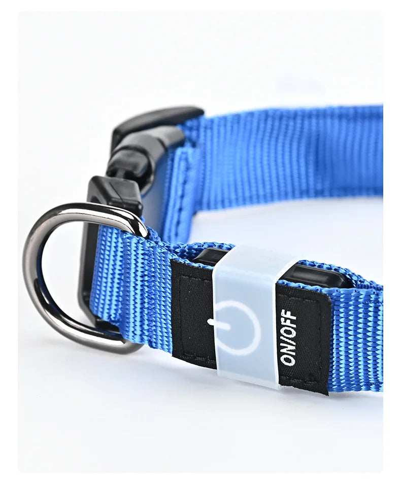 Rechargeable LED Dog Collar