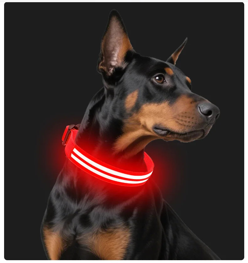 Rechargeable LED Dog Collar