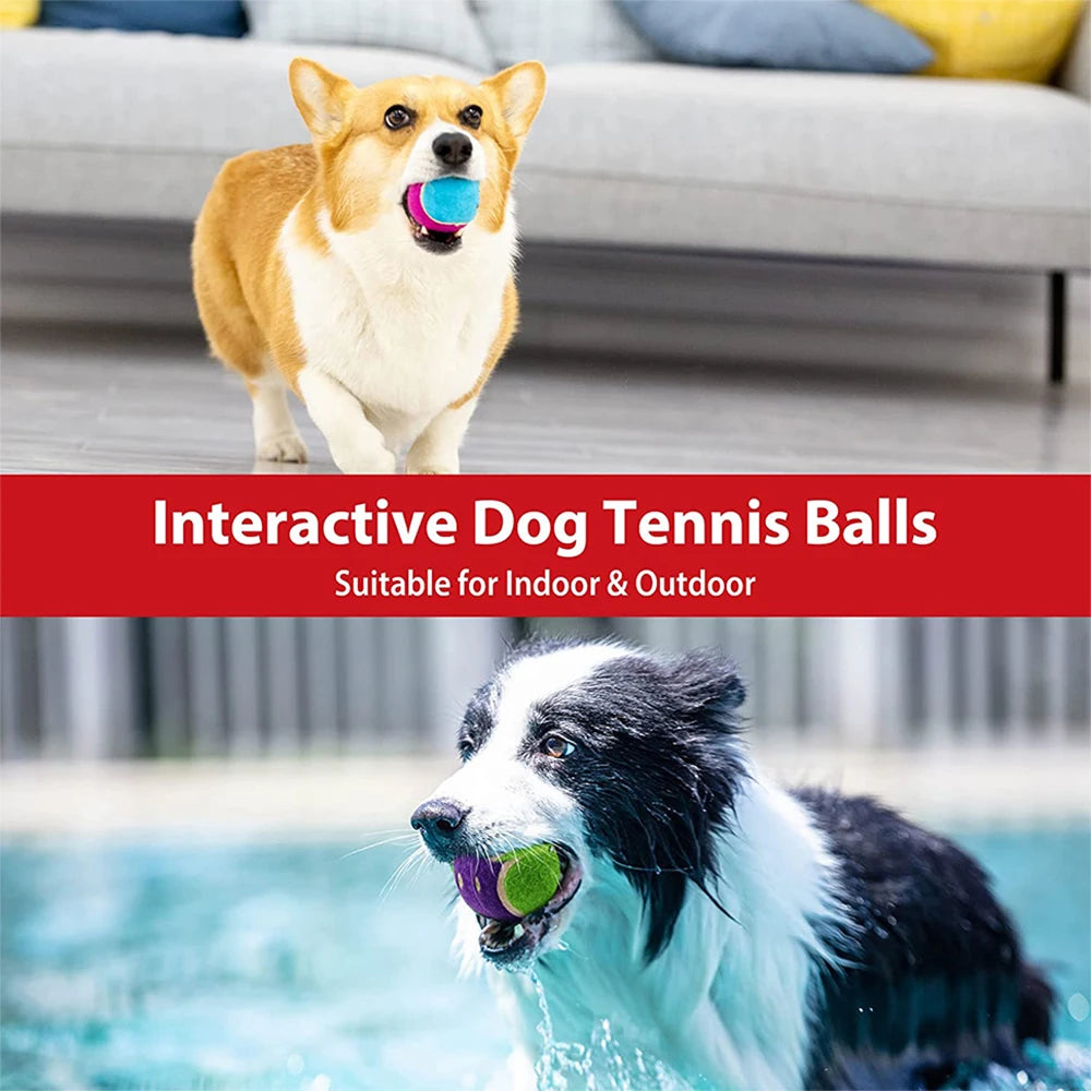 Squeaky Dog Tennis Ball
