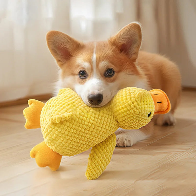 Durable Squeaky Pet Toy