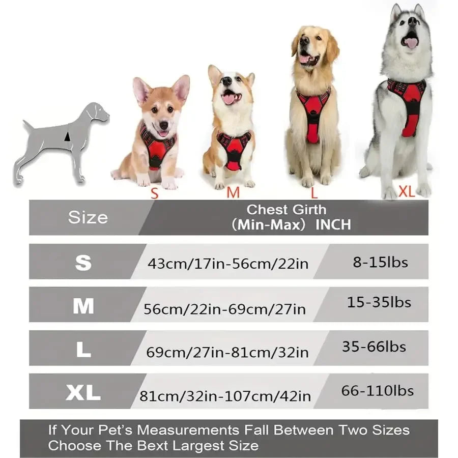 Dog Harness & Collar Set