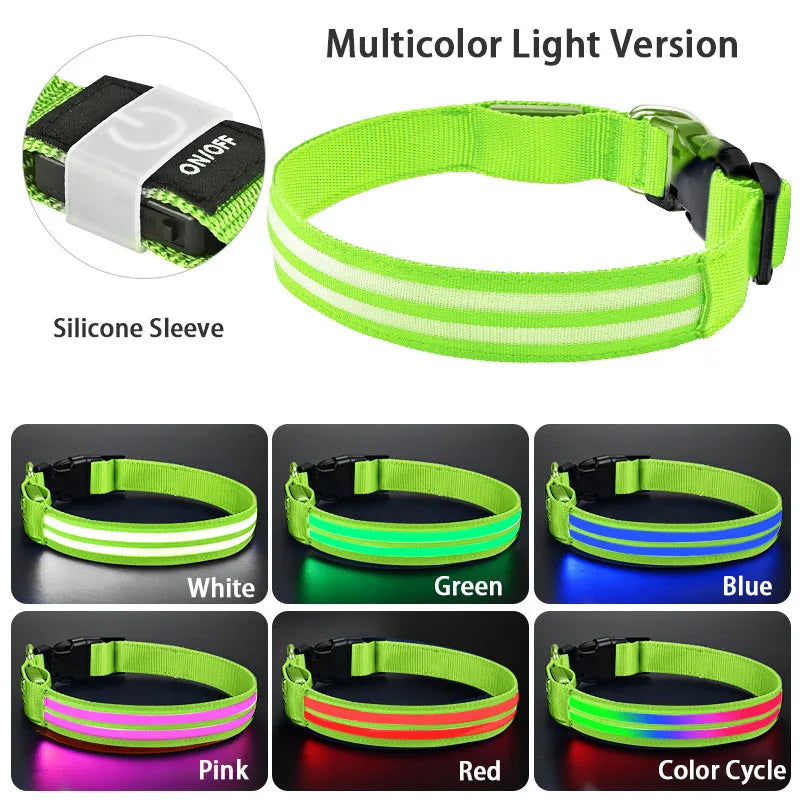 Rechargeable LED Dog Collar
