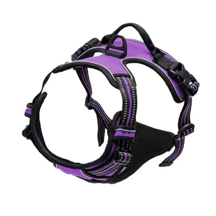 Dog Harness & Collar Set