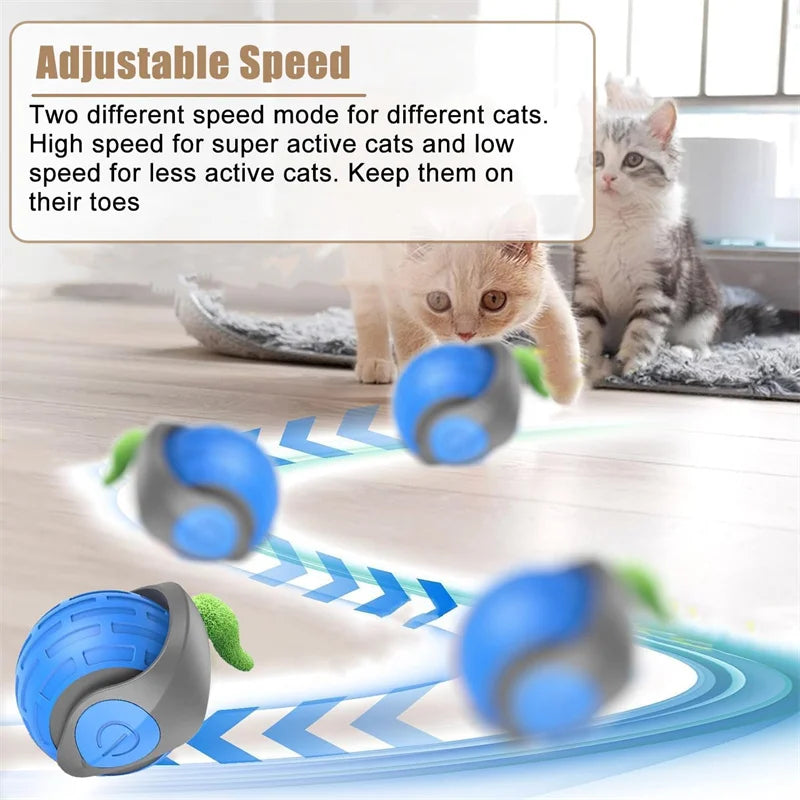 Automatic Interactive Cat Ball