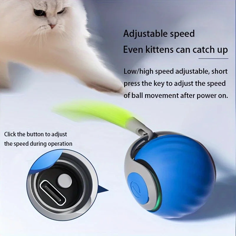 Automatic Interactive Cat Ball
