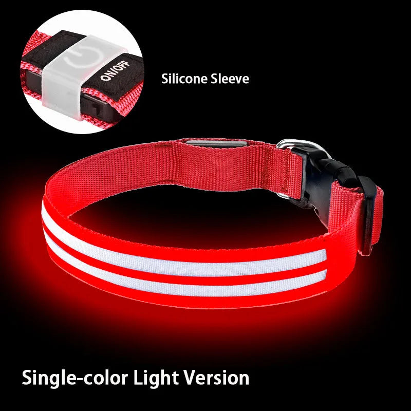 Rechargeable LED Dog Collar