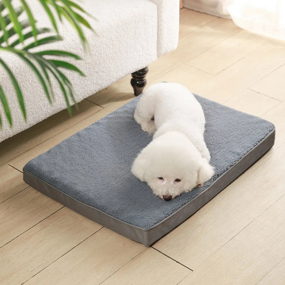 Dog Bed