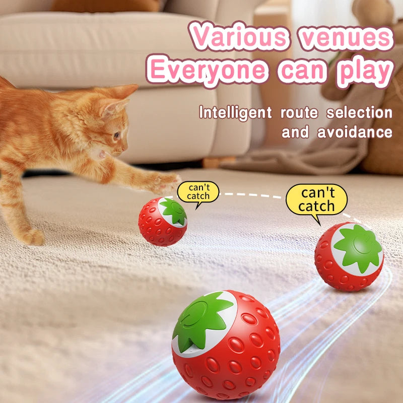 Automatic Interactive Cat Ball