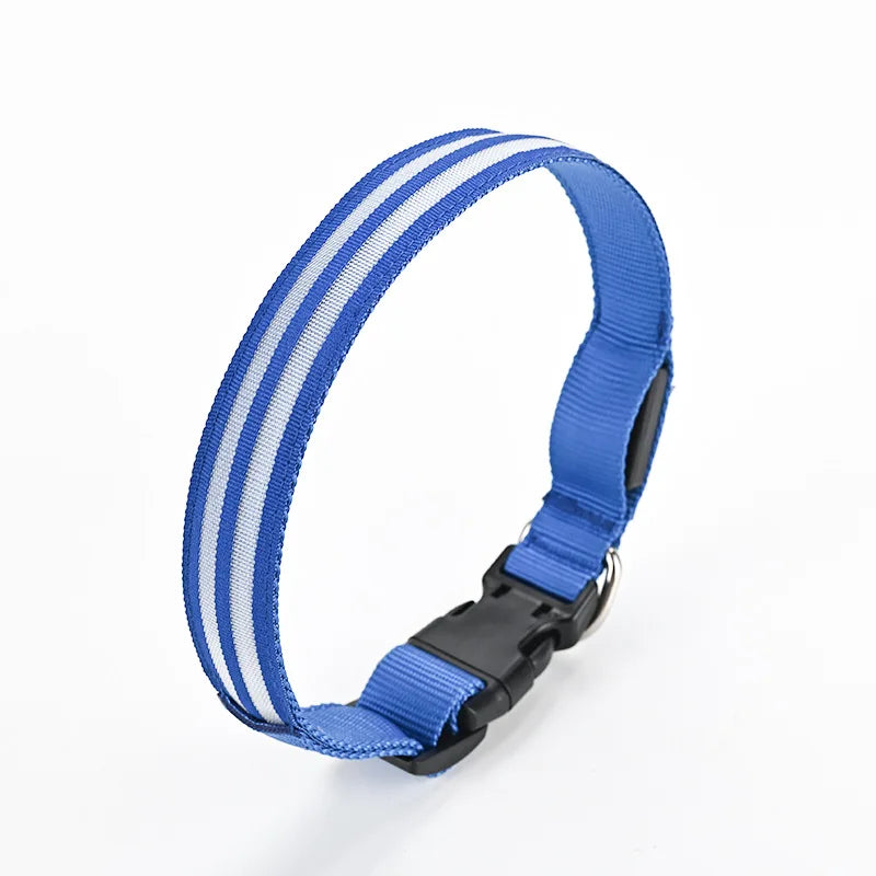 Rechargeable LED Dog Collar