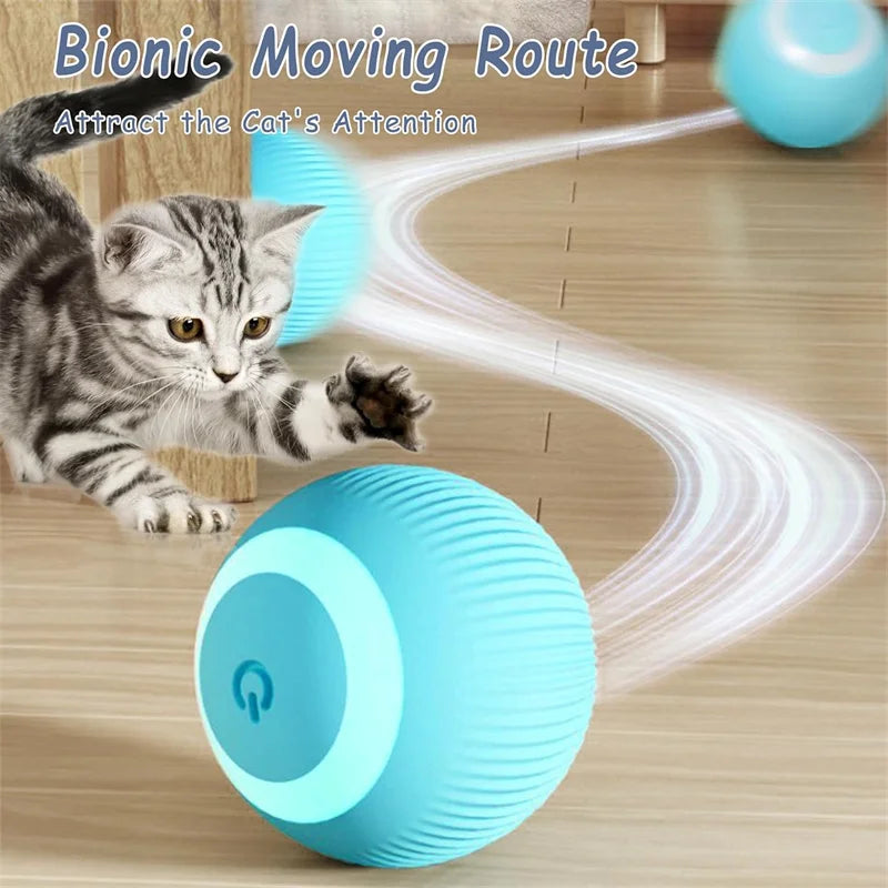 Automatic Interactive Cat Ball